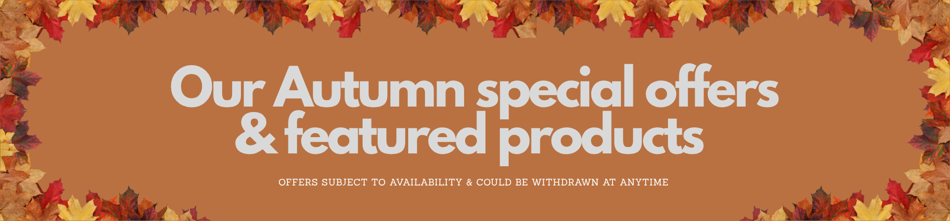 Our current special offers 